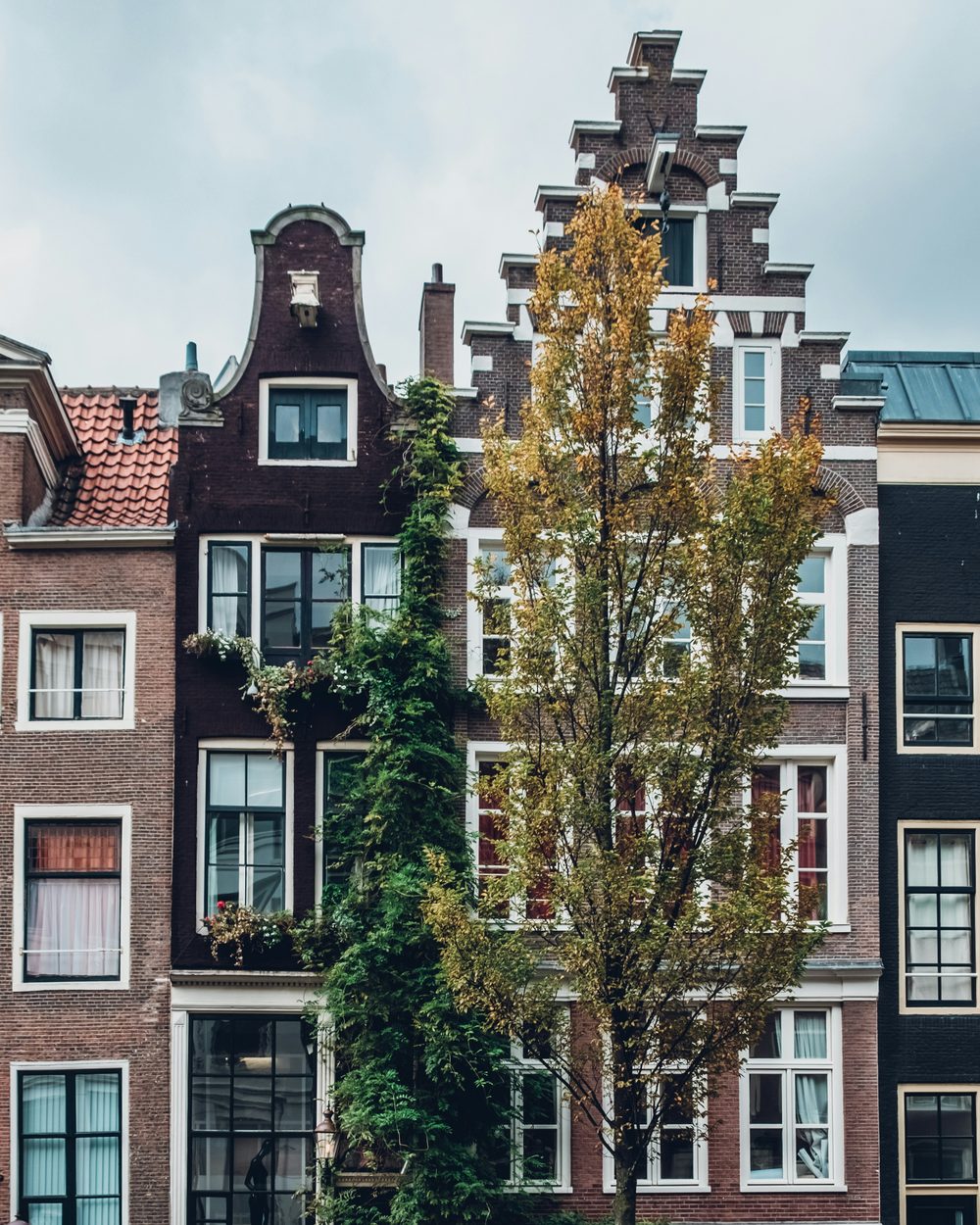 Historic gabled canal houses in Amsterdam, where many international careers in the Netherlands begin